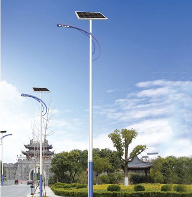 1742828177609237.jpg 西吉太阳能路灯.jpg